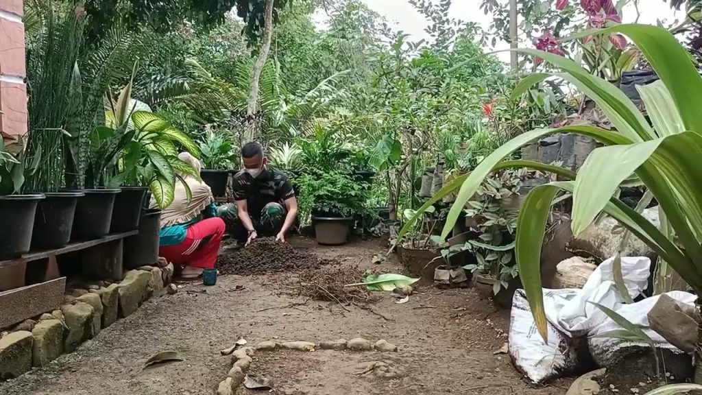 WhatsApp Image 2021-07-18 at 05.30.22