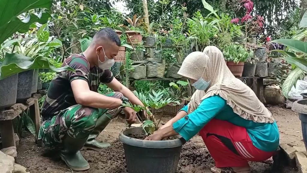 WhatsApp Image 2021-07-18 at 05.30.36