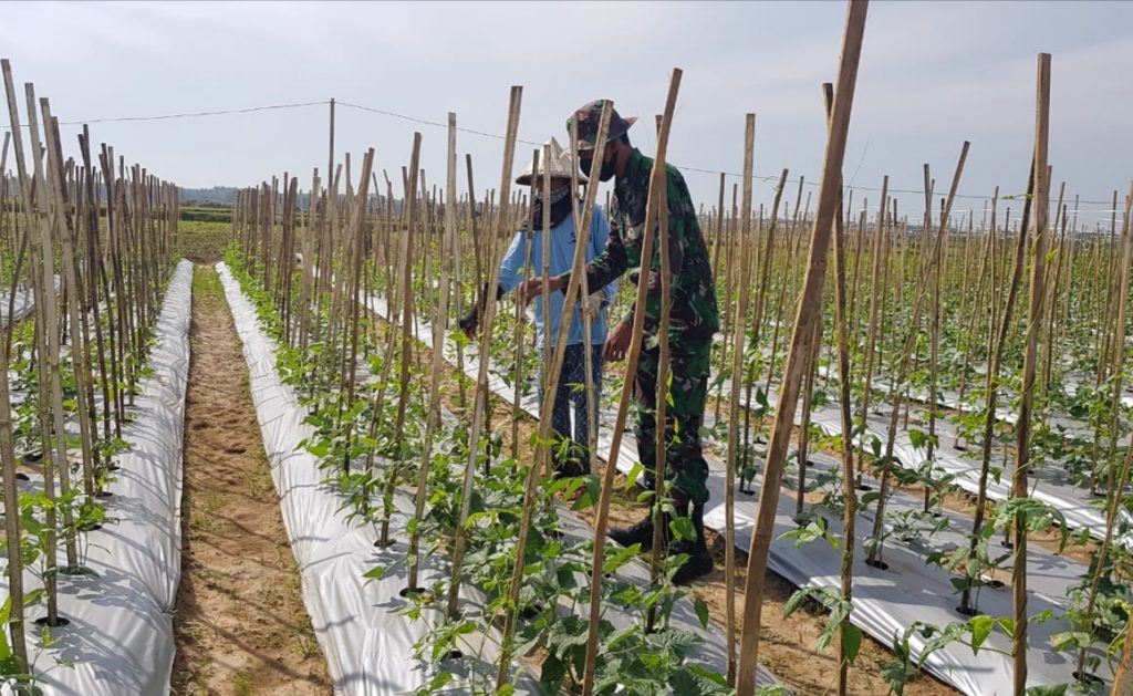 WhatsApp Image 2021-07-18 at 15.10.10