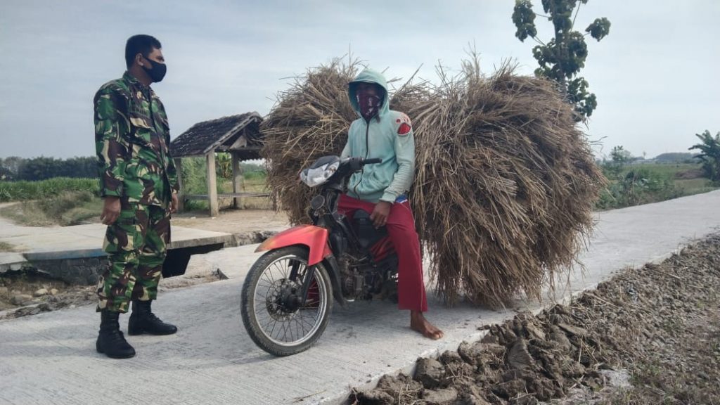 WhatsApp Image 2021-07-18 at 15.10.12