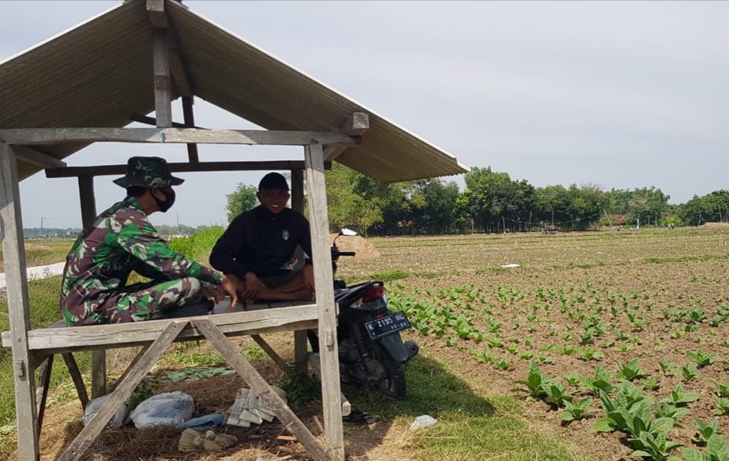 WhatsApp Image 2021-07-18 at 15.10.17