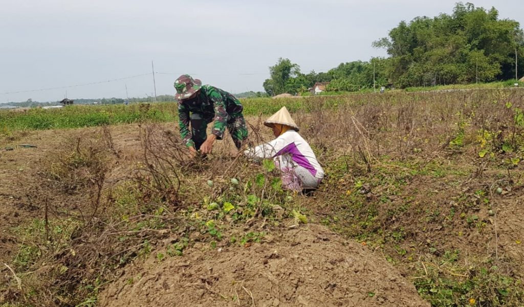 WhatsApp Image 2021-07-18 at 15.10.18