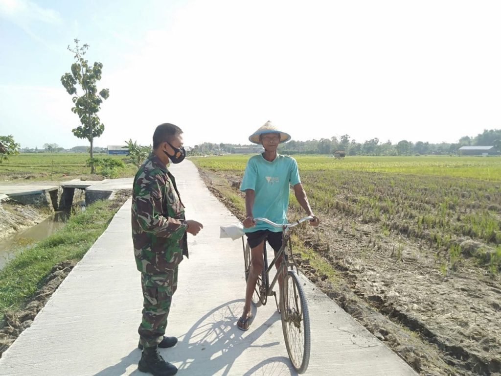 WhatsApp Image 2021-07-18 at 15.10.30