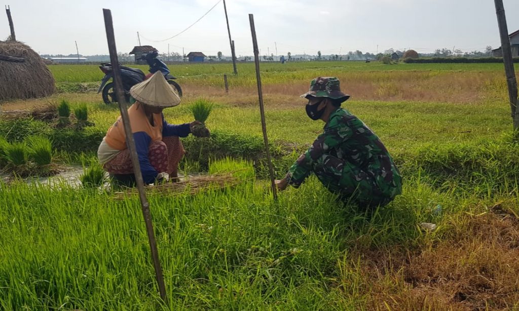 WhatsApp Image 2021-07-18 at 15.10.50