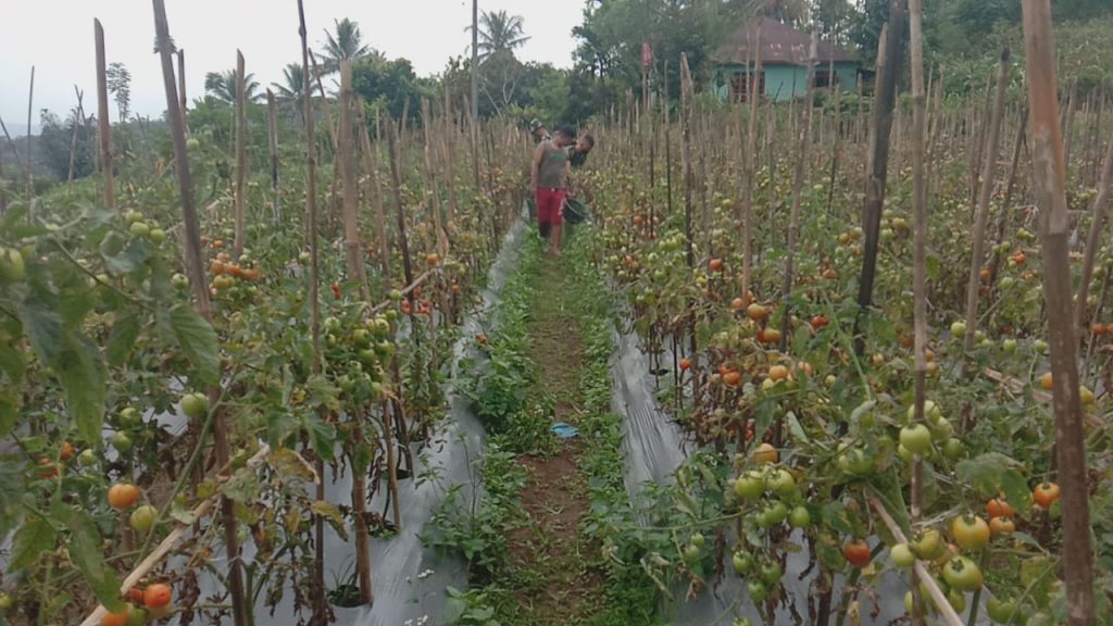 WhatsApp Image 2021-07-19 at 03.48.23