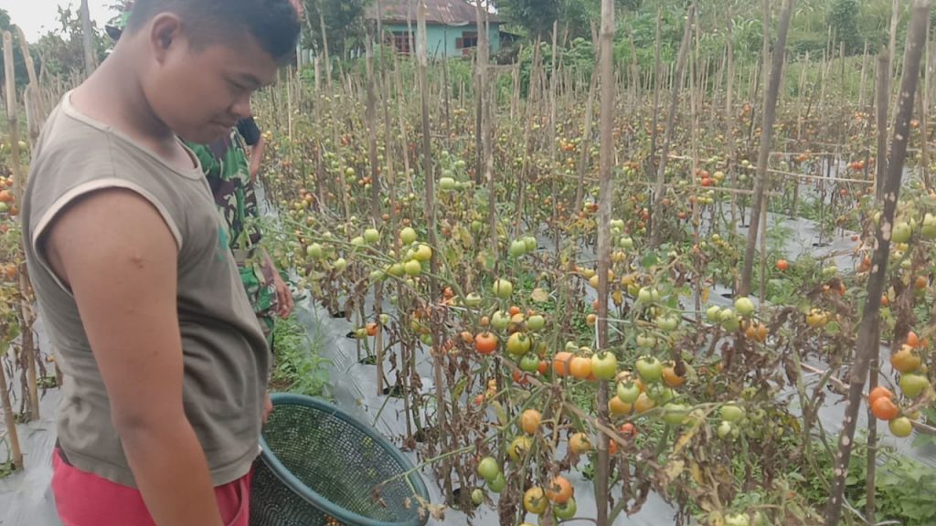 WhatsApp Image 2021-07-19 at 03.48.27