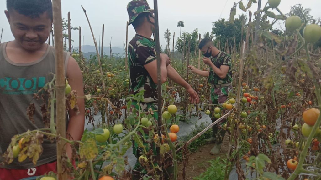 WhatsApp Image 2021-07-19 at 03.48.30