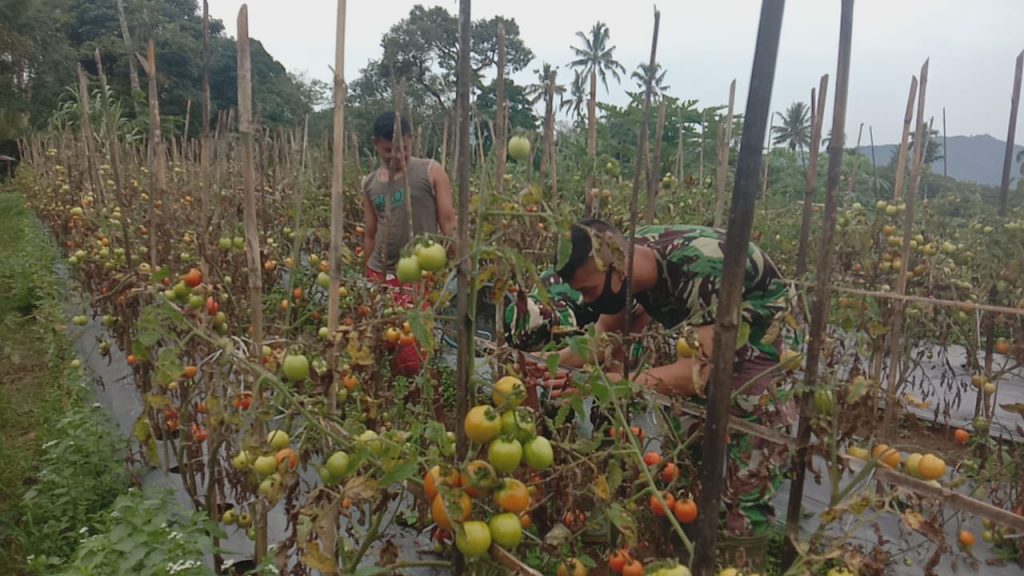 WhatsApp Image 2021-07-19 at 03.48.33