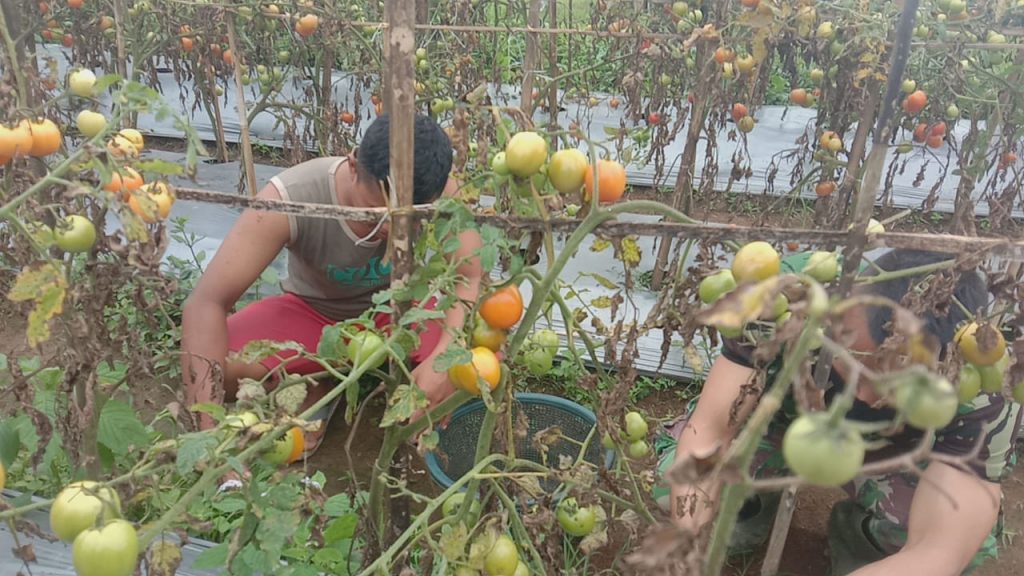 WhatsApp Image 2021-07-19 at 03.48.35