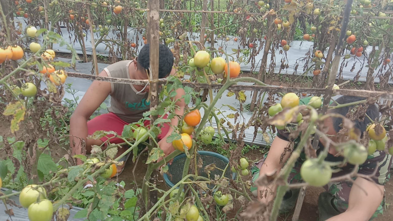 WhatsApp Image 2021-07-19 at 03.48.35