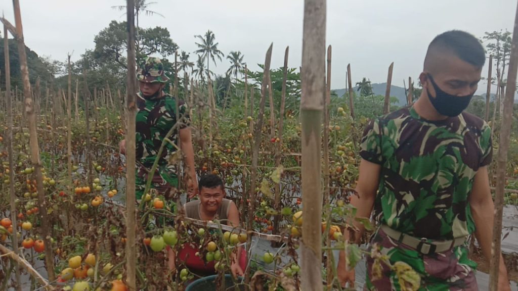 WhatsApp Image 2021-07-19 at 03.48.39