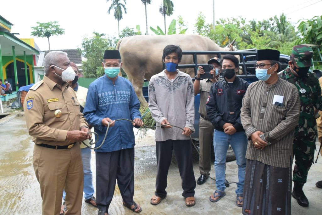 WhatsApp Image 2021-07-19 at 16.13.15