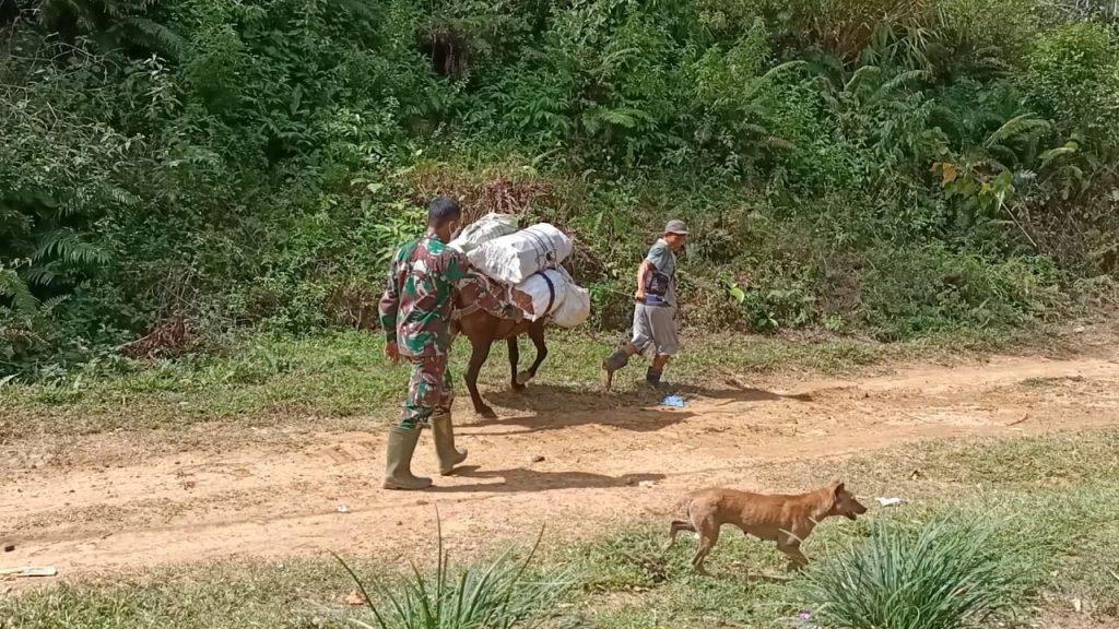 WhatsApp Image 2021-07-20 at 04.07.30