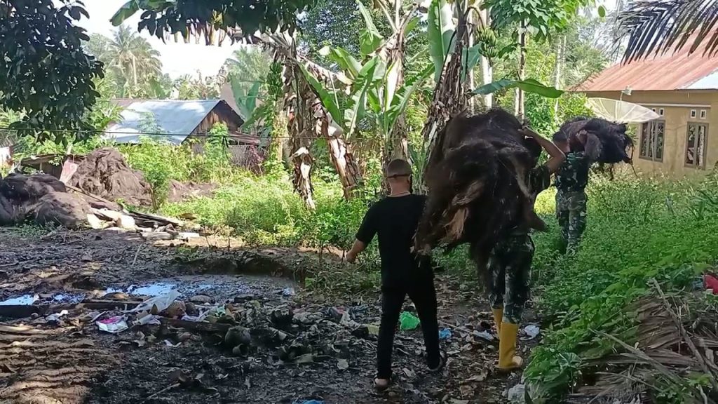 WhatsApp Image 2021-07-20 at 04.07.53