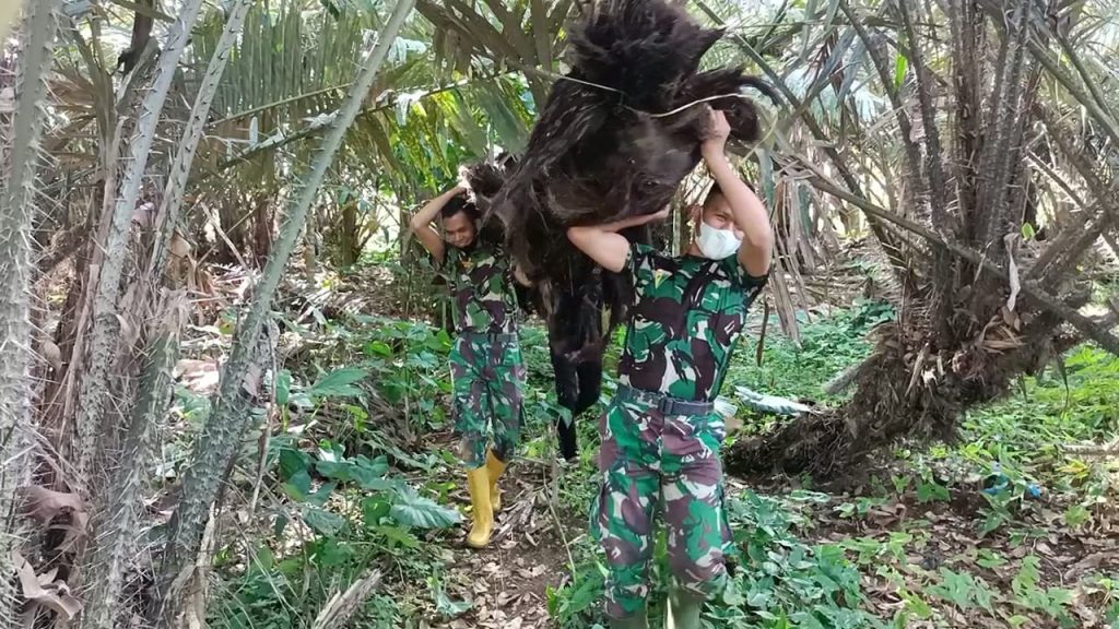 WhatsApp Image 2021-07-20 at 04.07.56