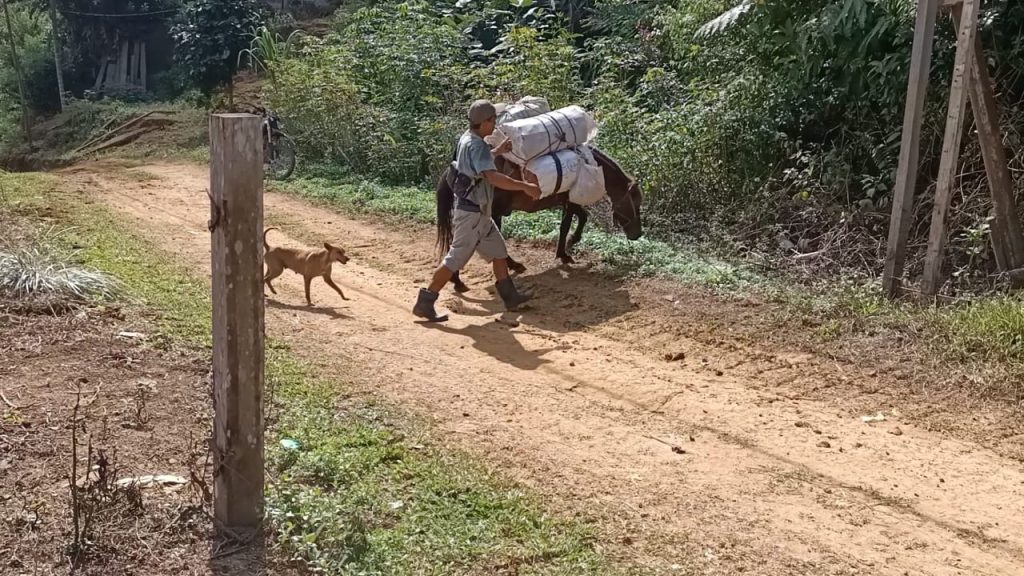 WhatsApp Image 2021-07-20 at 04.08.39