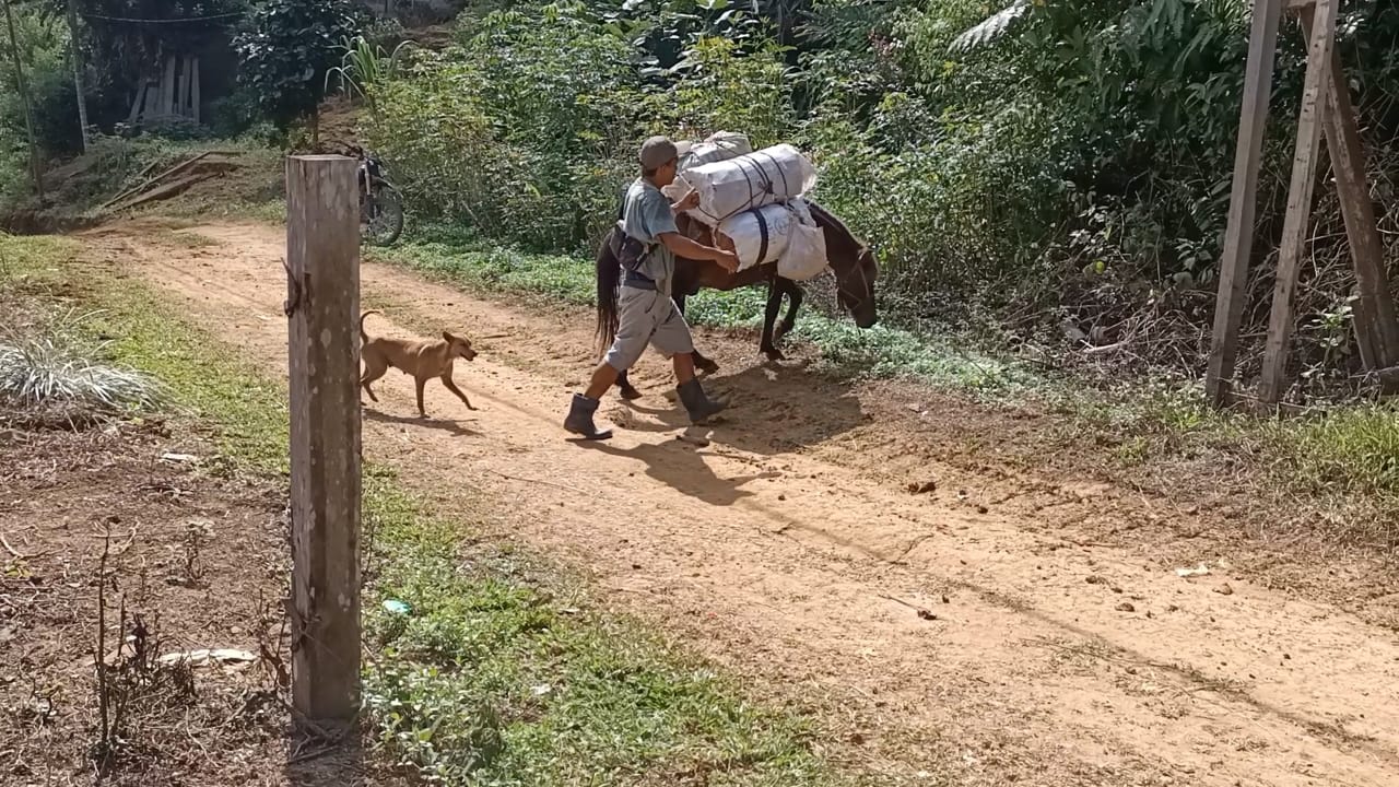 WhatsApp Image 2021-07-20 at 04.08.39