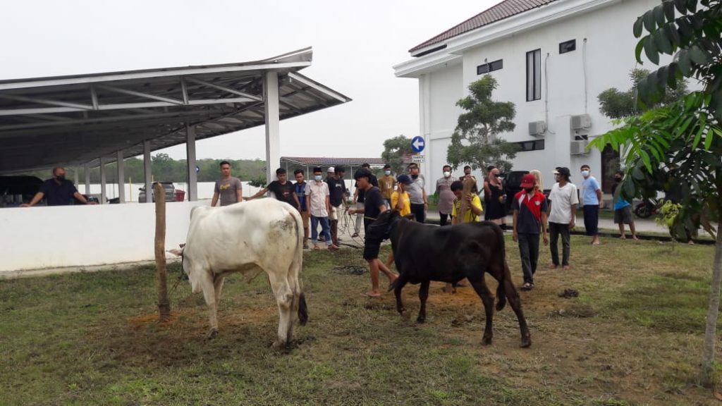 WhatsApp Image 2021-07-20 at 06.51.48