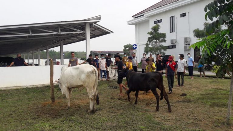 WhatsApp Image 2021-07-20 at 06.51.48