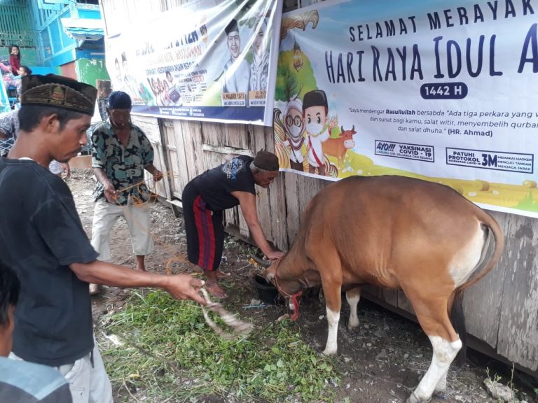 WhatsApp Image 2021-07-22 at 04.03.44