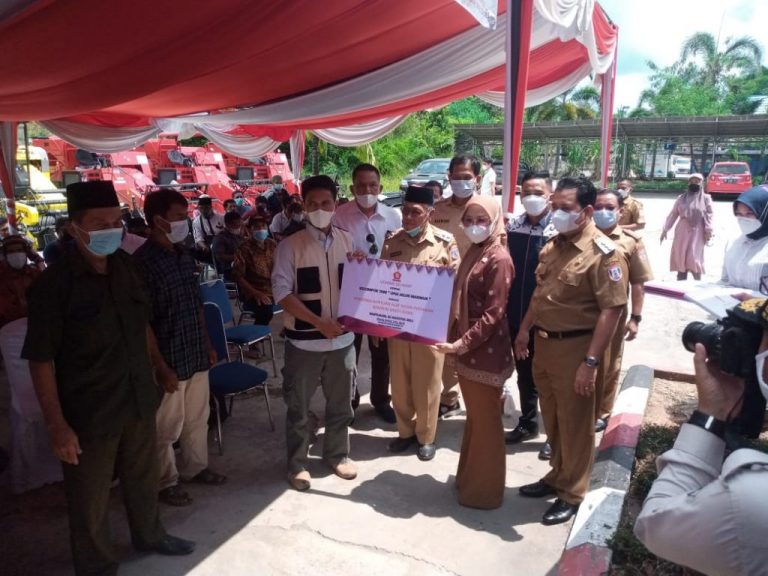 WhatsApp Image 2021-08-02 at 01.07.37