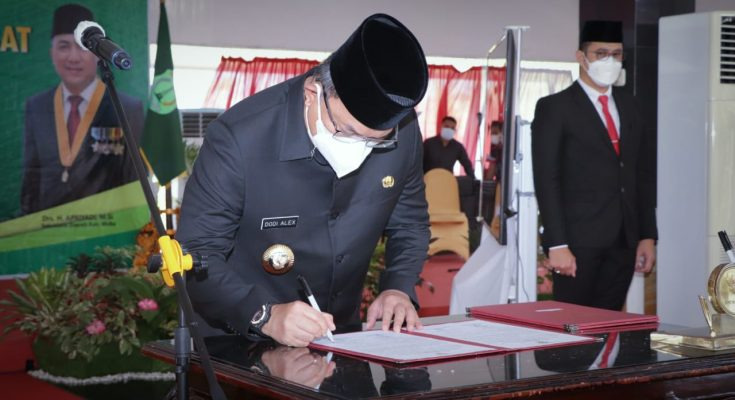 WhatsApp Image 2021-08-04 at 03.31.37