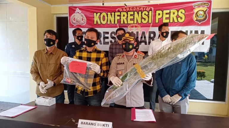 WhatsApp Image 2021-08-13 at 07.18.27