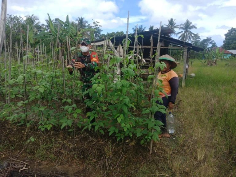 WhatsApp Image 2021-08-27 at 05.19.11