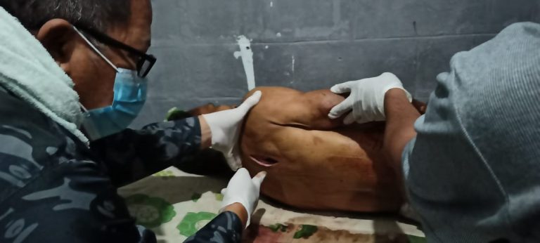 WhatsApp Image 2021-09-03 at 03.59.47(1)