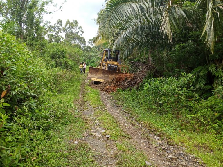 WhatsApp Image 2021-09-07 at 11.20.43