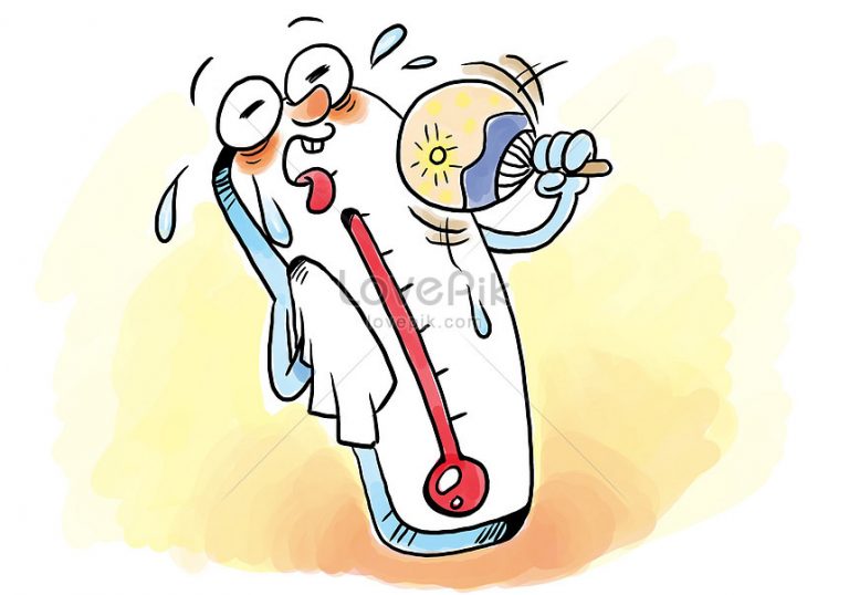 WhatsApp Image 2021-09-15 at 03.49.13