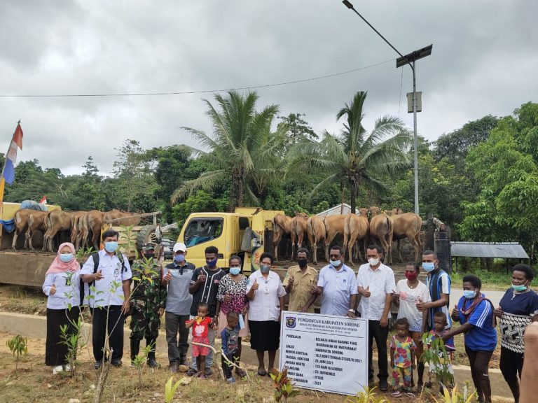 WhatsApp Image 2021-09-25 at 05.37.43