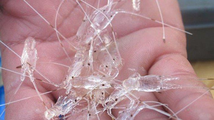 WhatsApp Image 2021-09-25 at 07.50.35