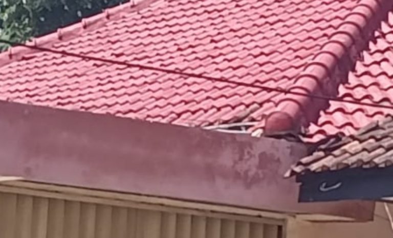 WhatsApp Image 2021-09-27 at 00.51.27(1)