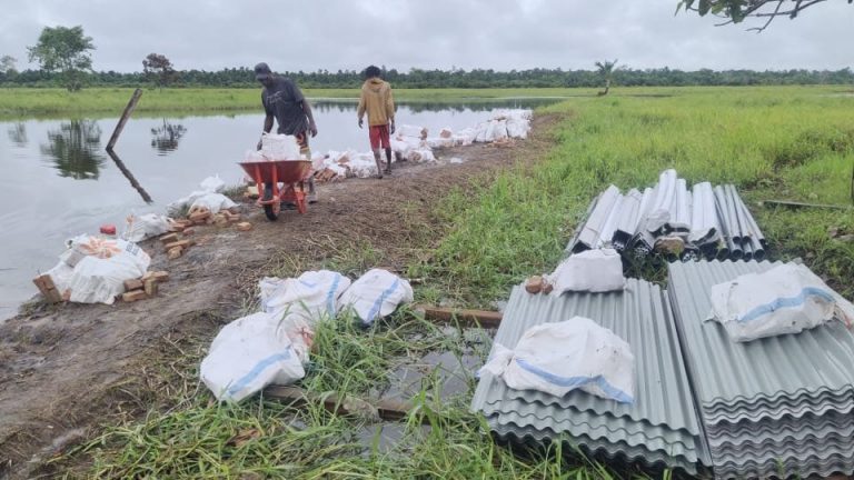 photo6174631442601061736