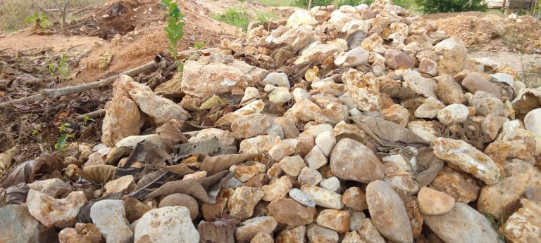 WhatsApp Image 2021-10-02 at 03.58.45