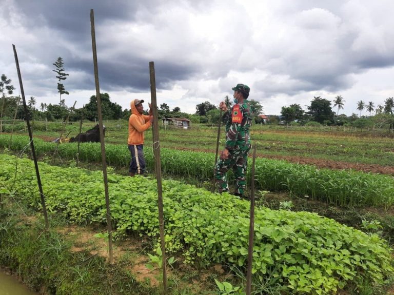 WhatsApp Image 2021-10-05 at 05.47.58