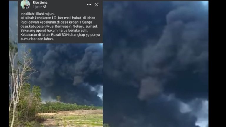 WhatsApp Image 2021-10-11 at 05.57.57