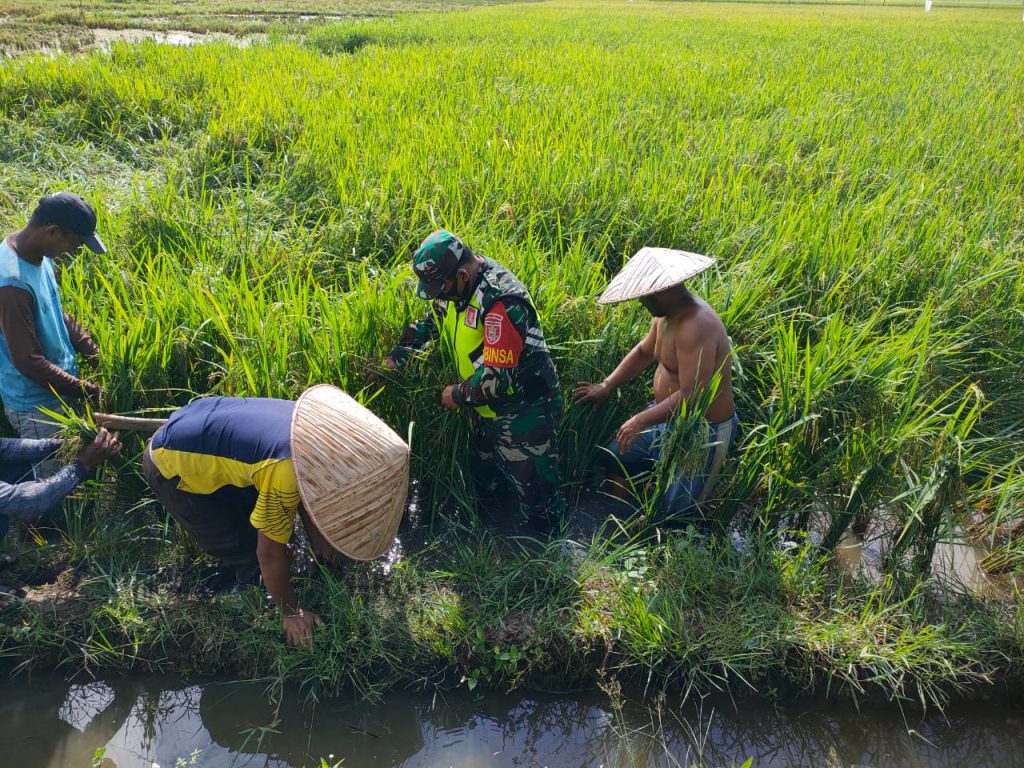 WhatsApp Image 2021-10-12 at 06.17.01