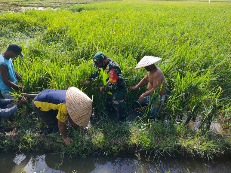 WhatsApp Image 2021-10-12 at 06.17.01