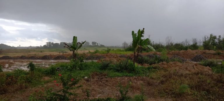 WhatsApp Image 2021-10-12 at 06.20.14