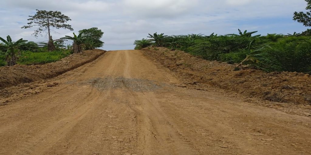 WhatsApp Image 2021-10-13 at 03.53.02