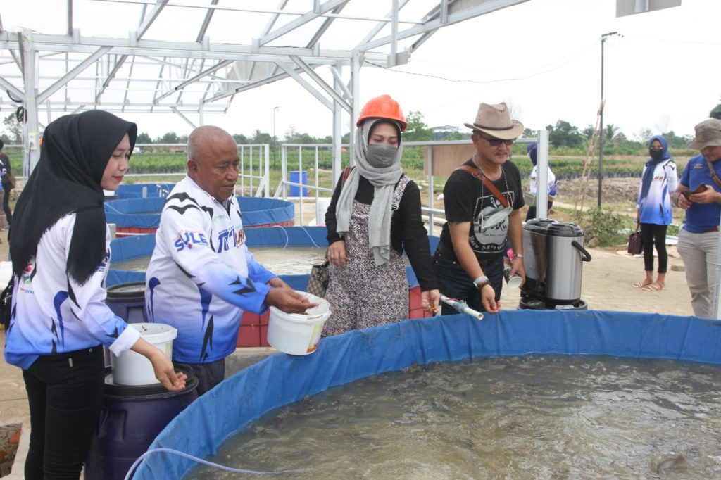 WhatsApp Image 2021-10-13 at 21.18.57