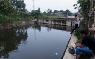 WhatsApp Image 2021-10-17 at 21.24.15