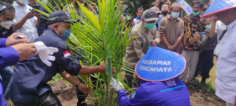 WhatsApp Image 2021-10-19 at 23.12.47(1)