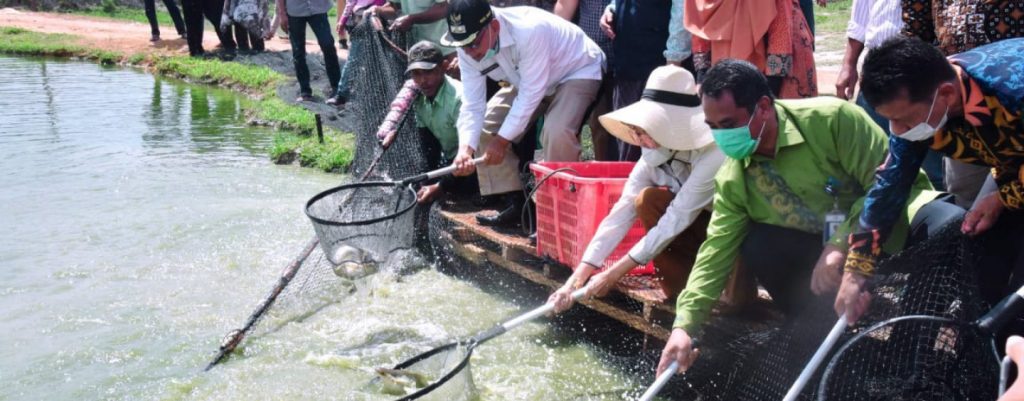 WhatsApp Image 2021-10-20 at 23.32.31