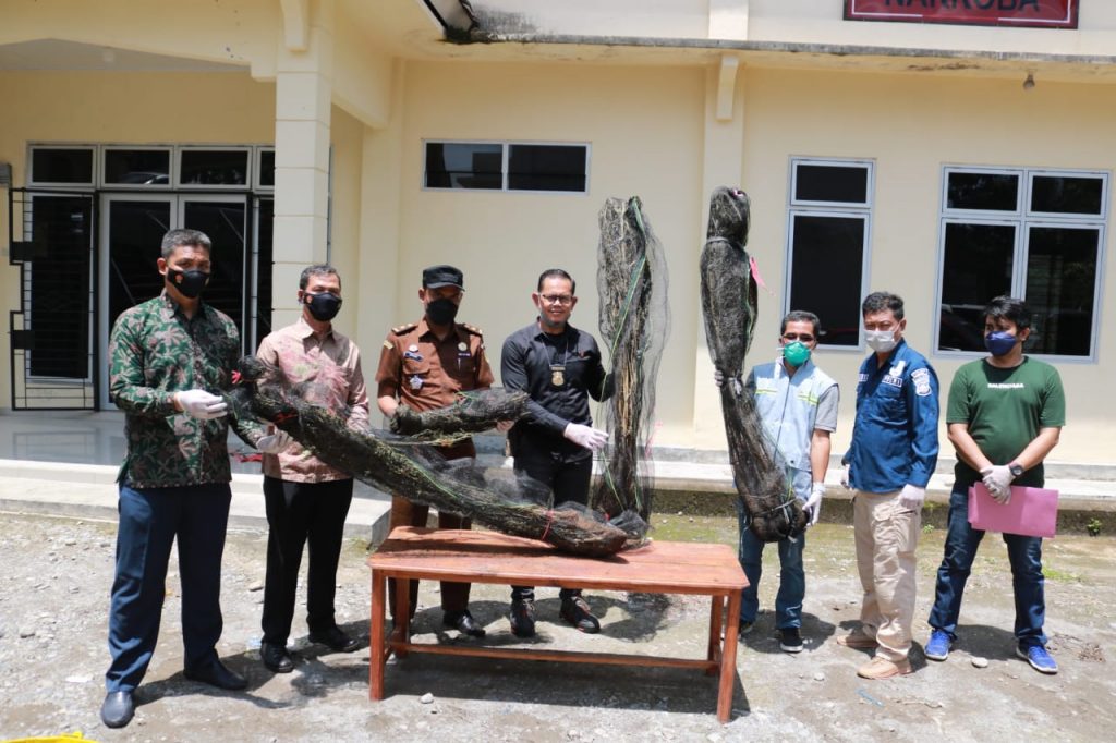 WhatsApp Image 2021-10-29 at 02.33.29