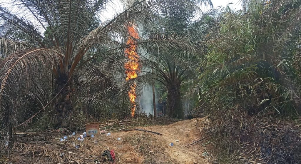 WhatsApp Image 2021-10-29 at 09.45.54