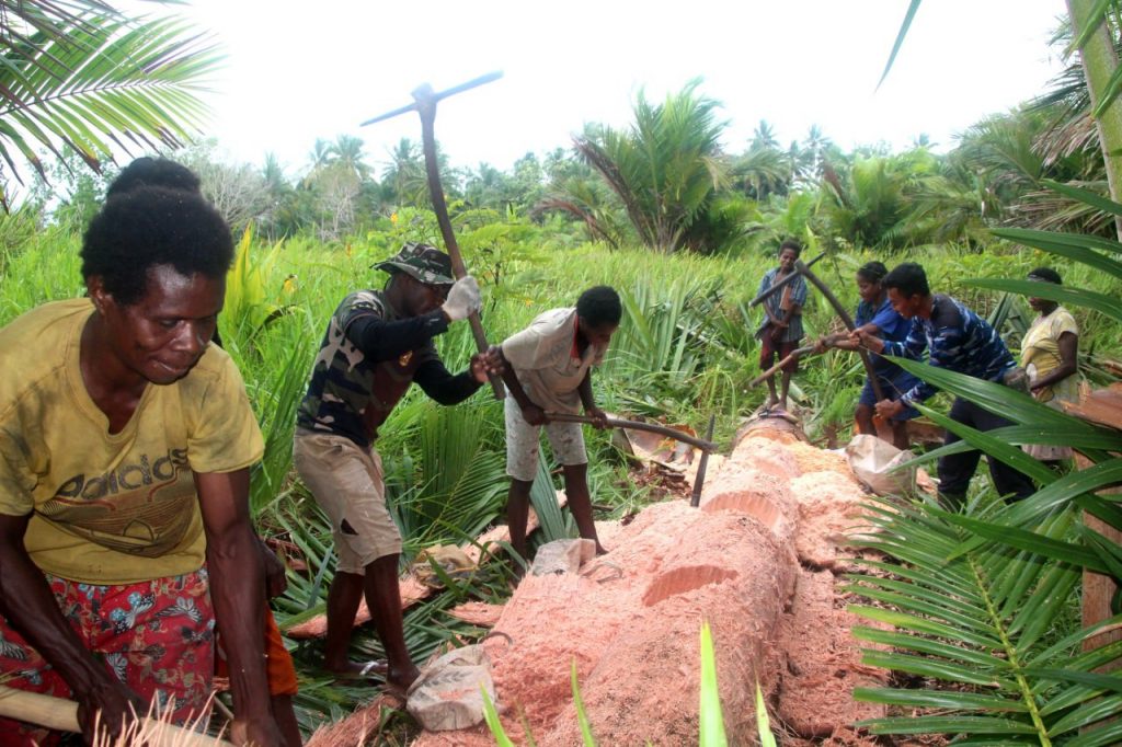 photo6271747907363384956