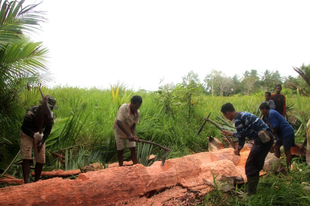 photo6271747907363384957